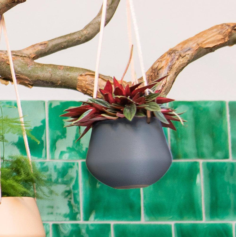 Present Time Skittle Hanging Ceramic Planter Small - Night Blue - Modern Quests