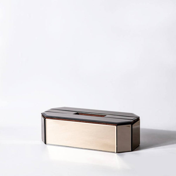 ESQ Living Mirror Tissue Box Holder - Light Bronze - Modern Quests