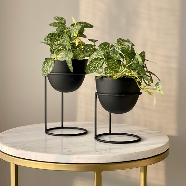 Olvera Small Desk Planters, Set of 2 - Charcoal