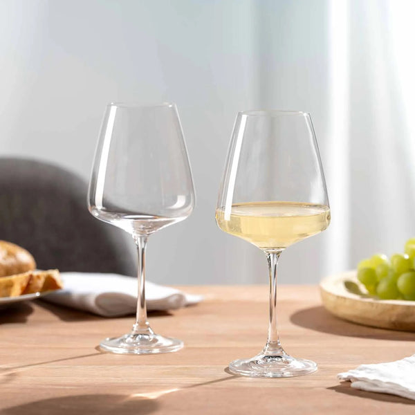 Paladino White Wine Glasses 540ml, Set of 6