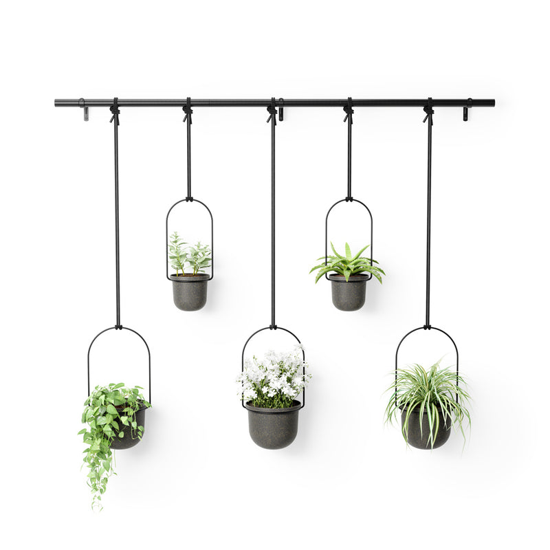 Triflora Hanging Planters, Set of 5 - Black
