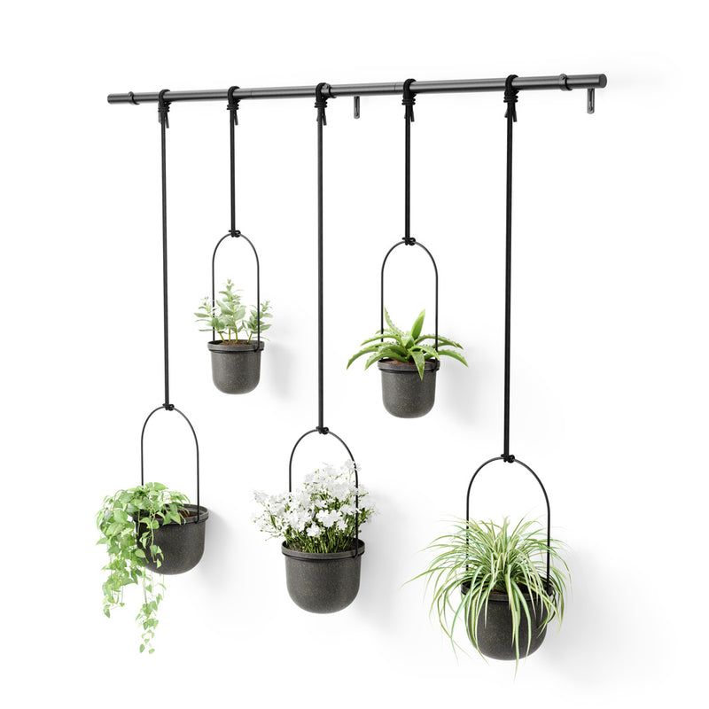 Triflora Hanging Planters, Set of 5 - Black