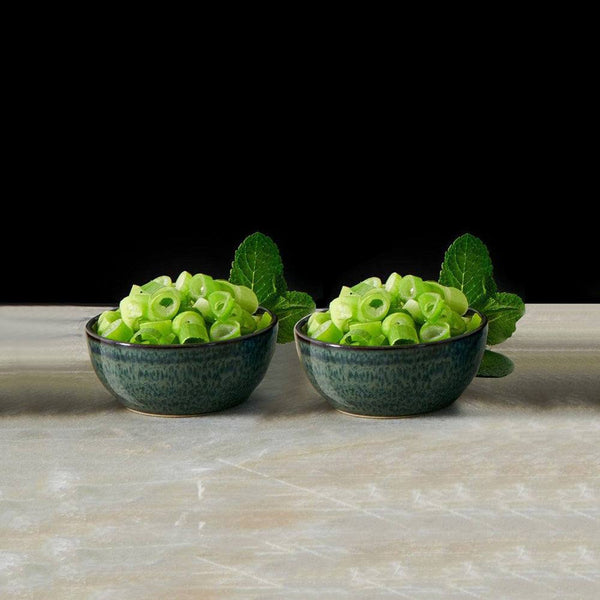 Poke Mini Bowls Set of 2 - Ocean Green