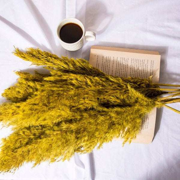 ESQ Living Pampas Dried Bunch - Yellow - Modern Quests