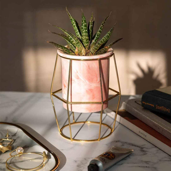 Isaaka Ceramic Hexagon Planter - Pink - Modern Quests