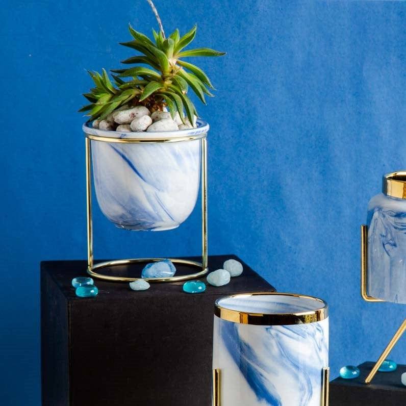 Isaaka Oasis Tabletop Small Planter - Blue - Modern Quests