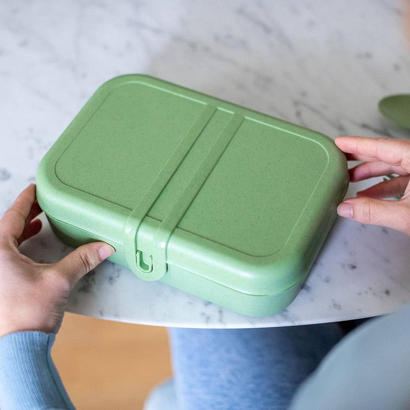 Koziol Germany Pascal Lunch Box with Cutlery Set - Leaf Green