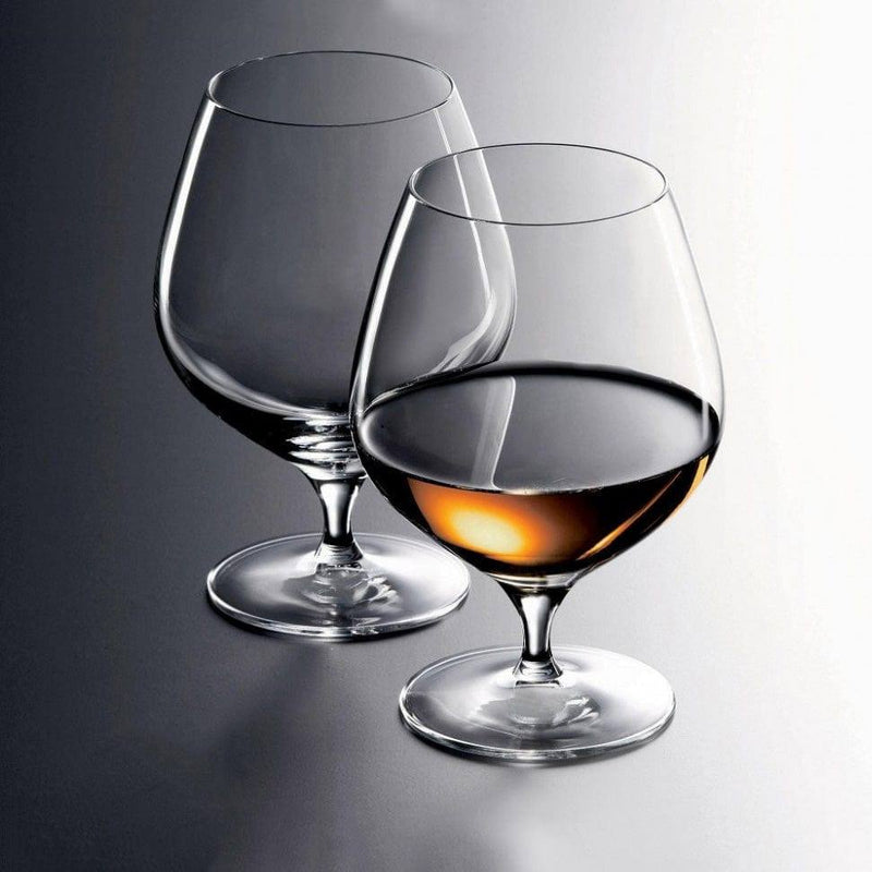NUDE Turkey Primeur Cognac Glasses, Set of 6 - Modern Quests