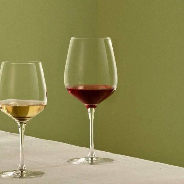 NUDE Turkey Refine Burgundy Glasses, Set of 2 - Modern Quests