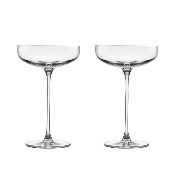 NUDE Turkey Savage Coupe Glasses, Set of 2 - Modern Quests