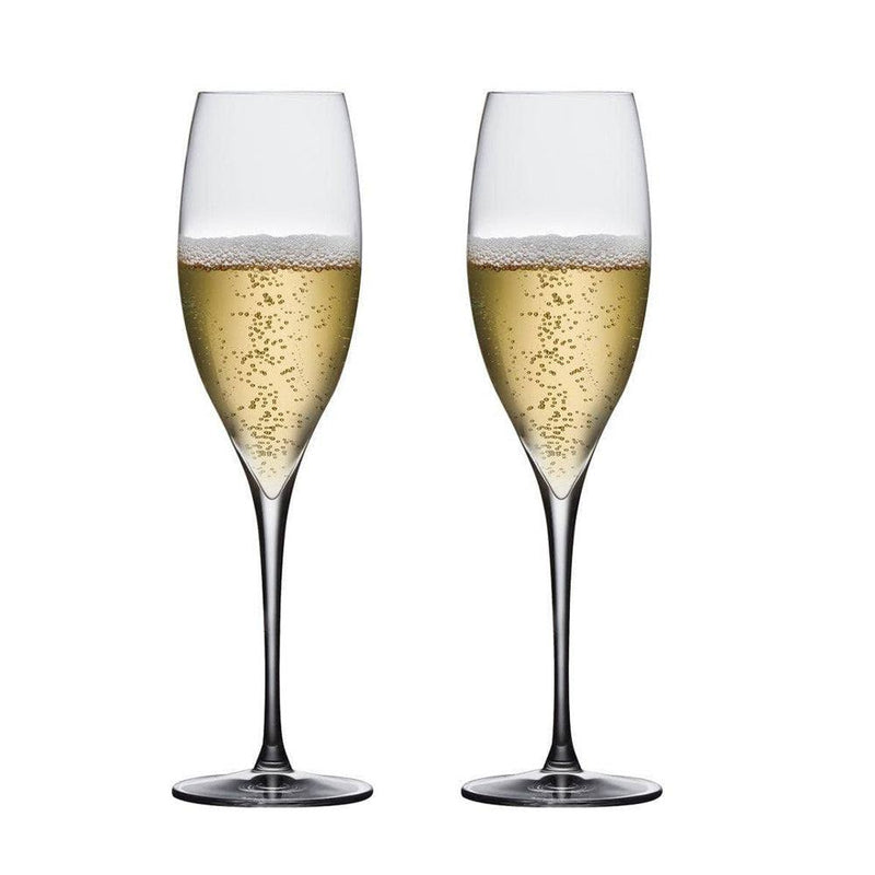 NUDE Turkey Terroir Champagne Glasses, Set of 2 - Modern Quests