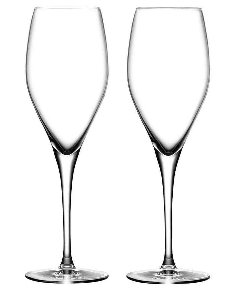 NUDE Turkey Vintage Champagne Glasses, Set of 2 - Modern Quests