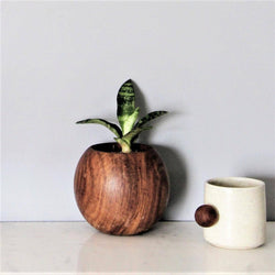 Objectry Wooden Ball Planter - Modern Quests