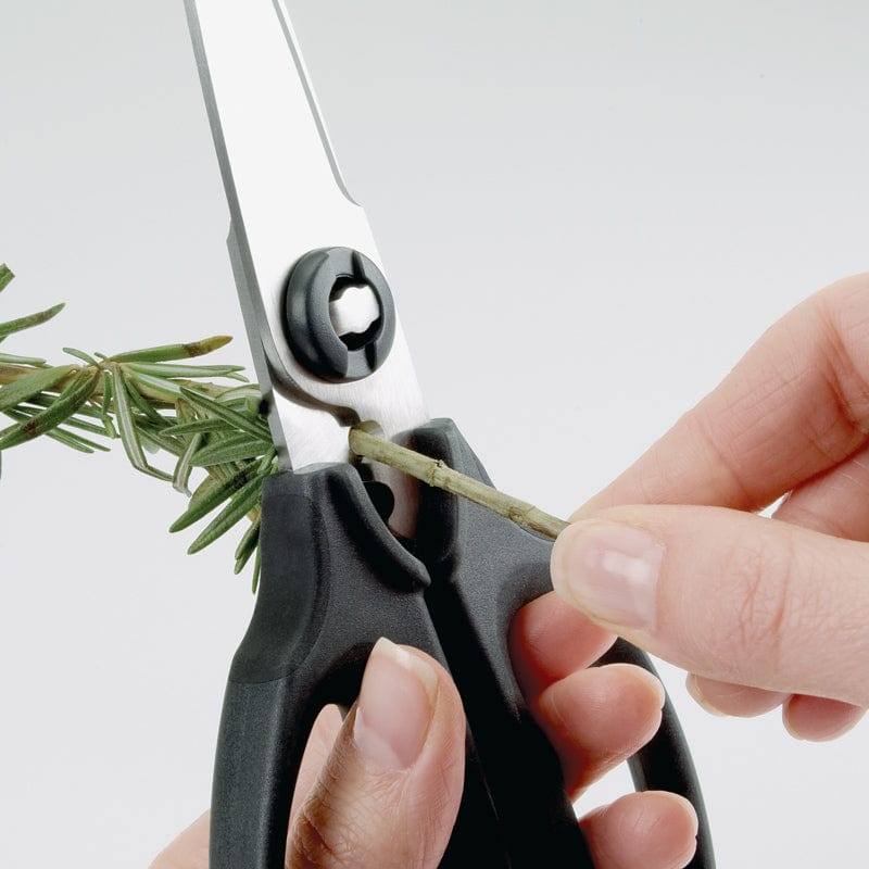 OXO Good Grips Kitchen & Herb Scissors - Modern Quests
