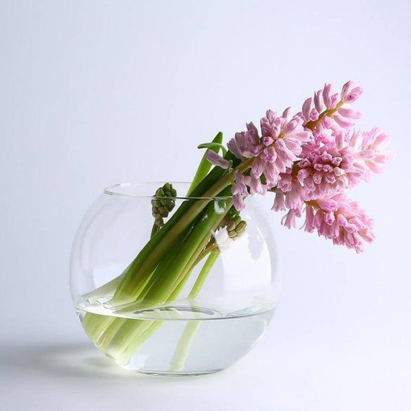 Pasabahce Botanica Glass Vase - Sphere