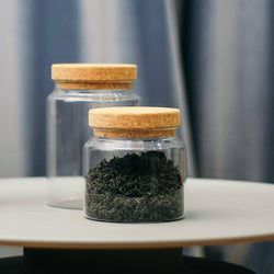Philosophy Home Borosilicate Glass Jar with Cork Lid - Small - Modern Quests