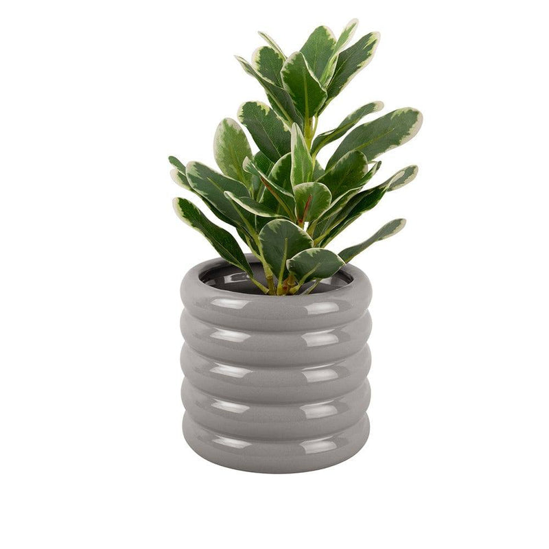 Present Time Bobbly Glazed Plant Pot, Small - Grey