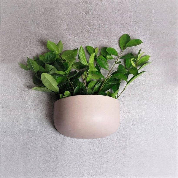 Present Time Ceramic Oval Wall Planter - Soft Pink - Modern Quests