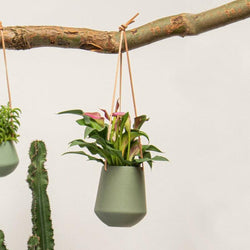 Present Time Skittle Hanging Ceramic Planter Medium - Jungle Green - Modern Quests