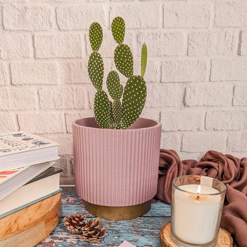 Ripples Home Midori Planter with Base Small - Pink - Modern Quests