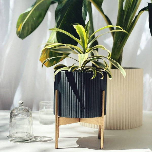 Ripples Home Midori Planter with Stand Small - Black - Modern Quests