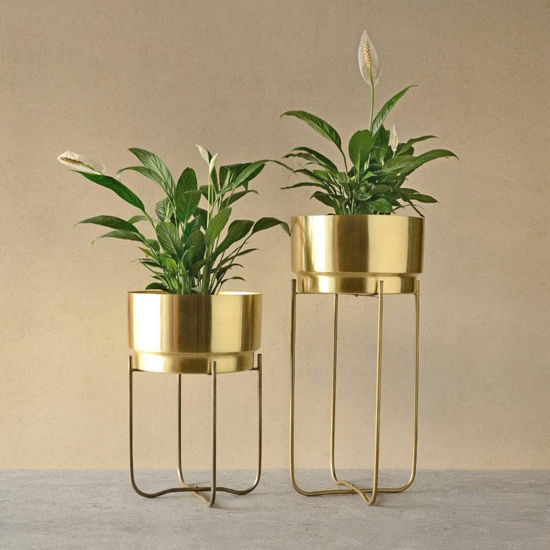 The Decor Remedy Indoor Metal Planters, Set of 2 - Champagne Gold - Modern Quests