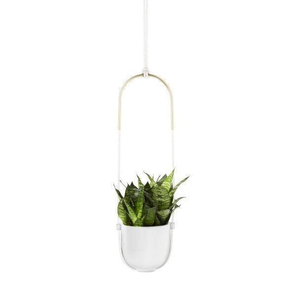 Umbra Bolo Hanging Planter - White - Modern Quests