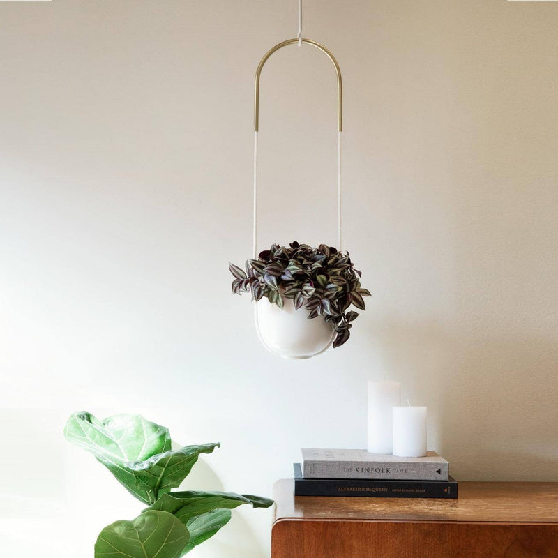 Umbra Bolo Hanging Planter - White - Modern Quests
