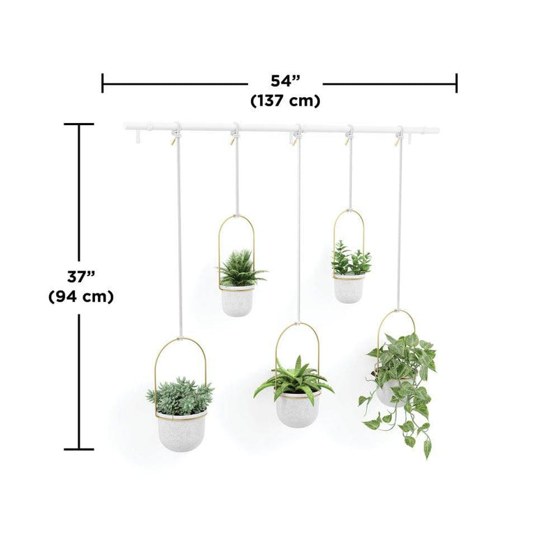 Umbra Triflora Hanging Planters, Set of 5 - White Brass - Modern Quests