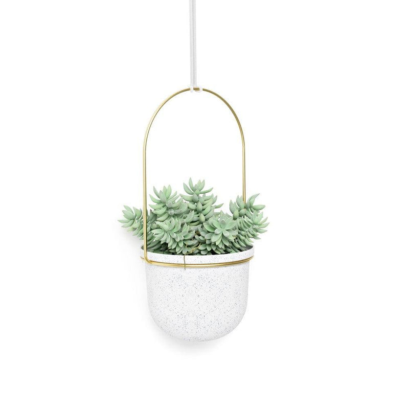 Umbra Triflora Hanging Planters, Set of 5 - White Brass - Modern Quests