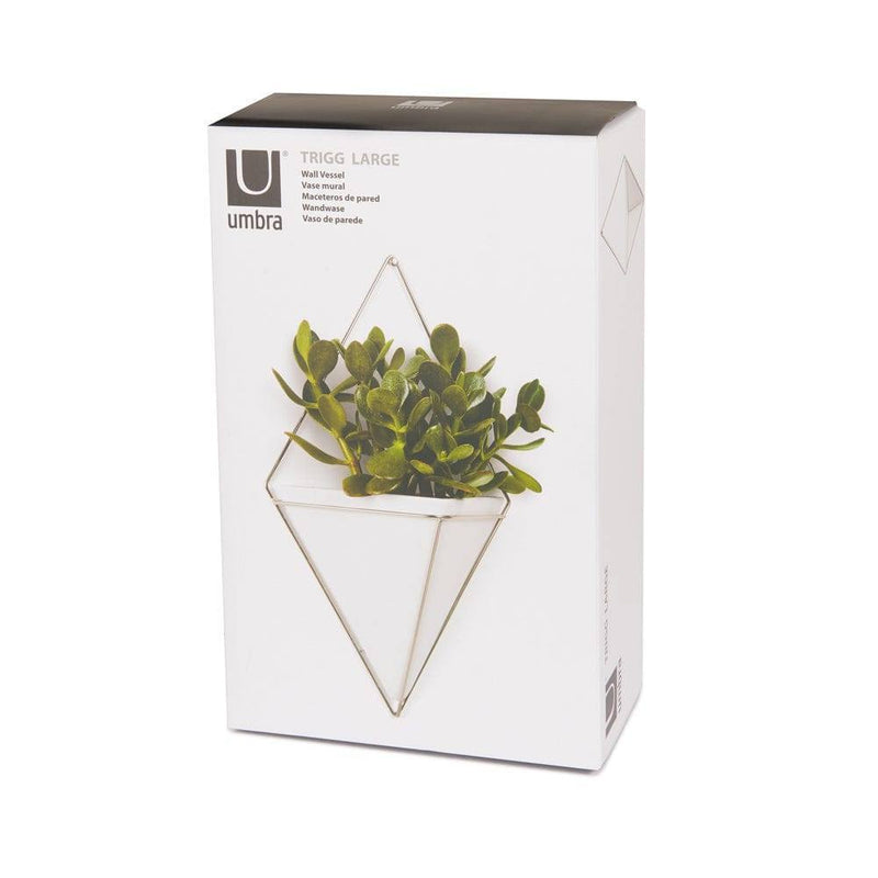 Umbra Trigg Wall Vessel Large - White Brass - Modern Quests