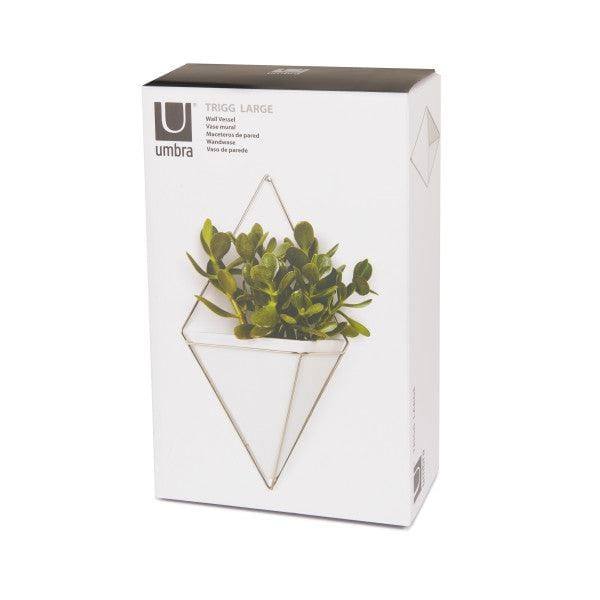 Umbra Trigg Wall Vessel Large - White Nickel - Modern Quests