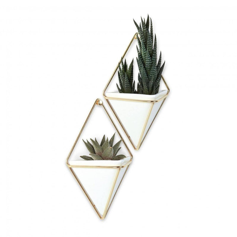 Umbra Trigg Wall Vessel Small Set of 2 - White Brass - Modern Quests