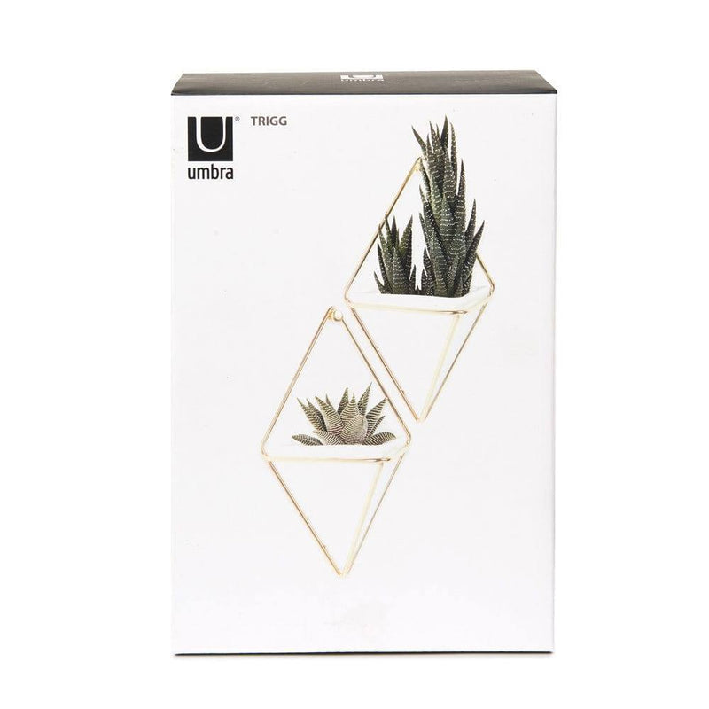 Umbra Trigg Wall Vessel Small Set of 2 - White Brass - Modern Quests