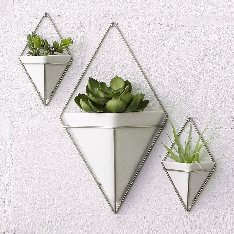 Umbra Trigg Wall Vessel Small Set of 2 - White Nickel - Modern Quests